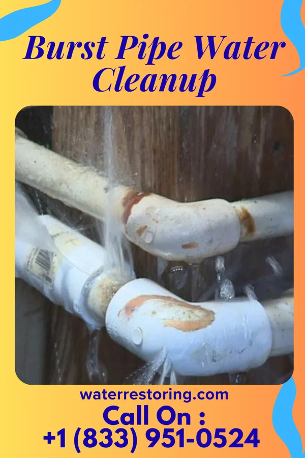 Burst Pipe Water Cleanup in Rumson, NJ