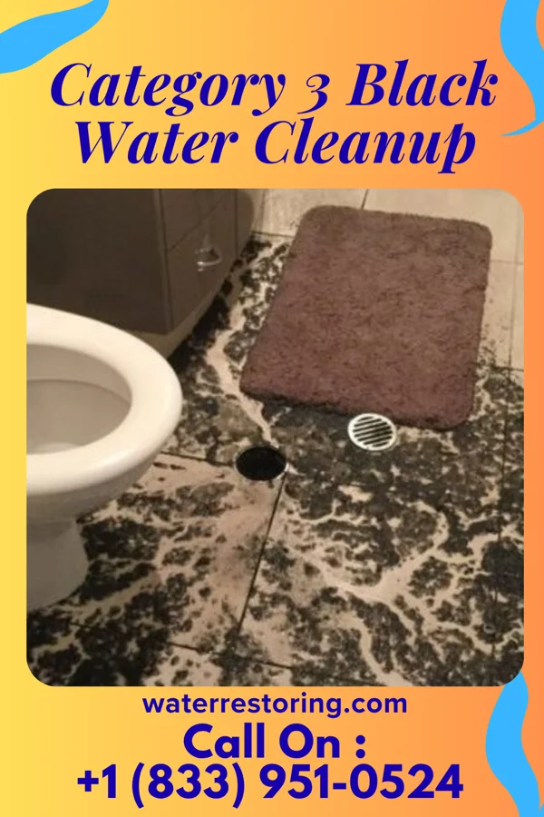 Category 3 Black Water Cleanup in Rumson, NJ