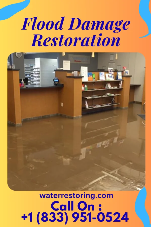 Flood Damage Restoration in Rumson, NJ