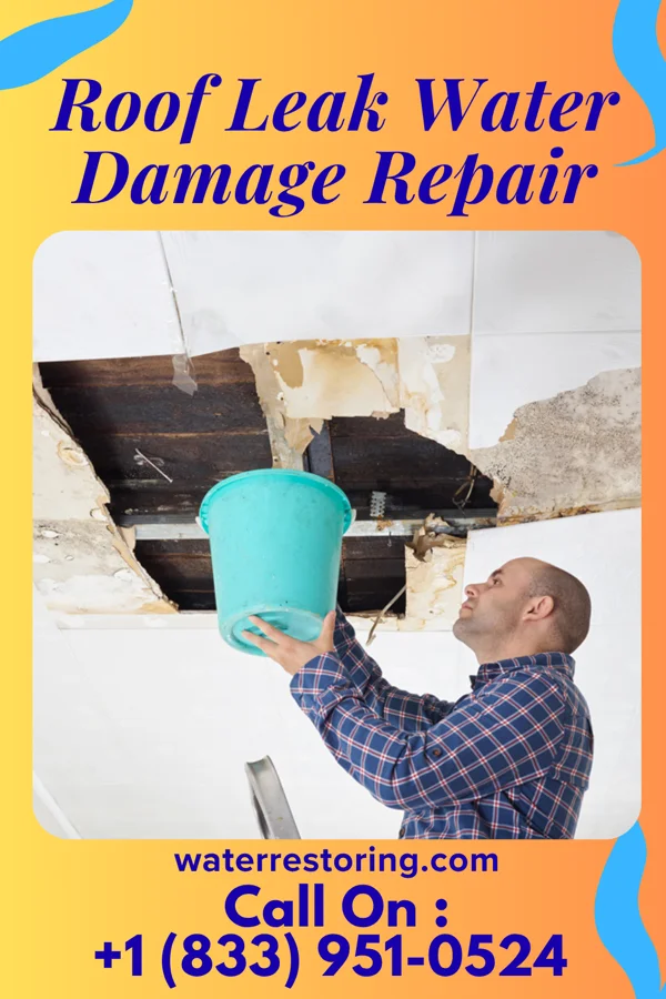 Roof Leak Water Damage Repair in Rumson, NJ