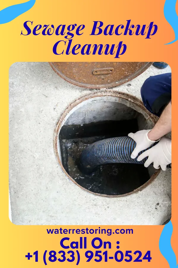 Sewage Backup Cleanup in Rumson, NJ