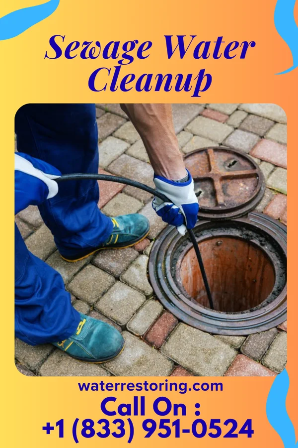 Sewage Water Cleanup in Rumson, NJ