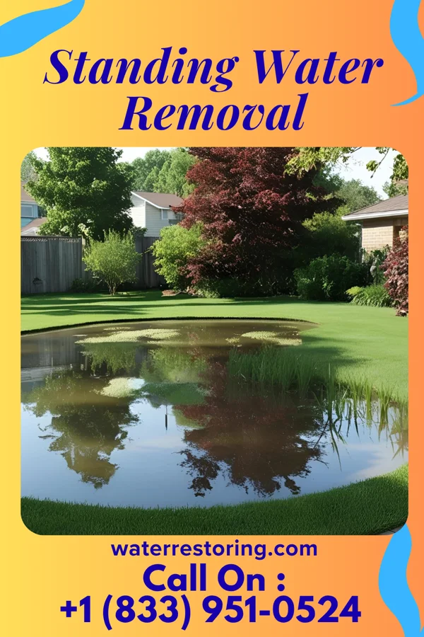 Standing Water Removal in Rumson, NJ
